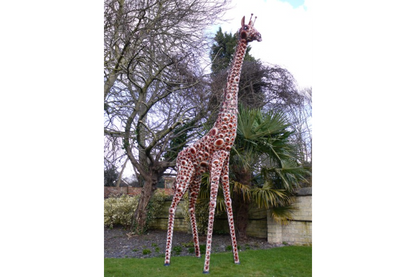 Giraffe Large