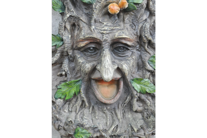 Treeman Bird Feeder