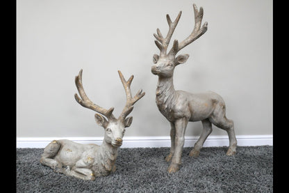 Laying Stag
