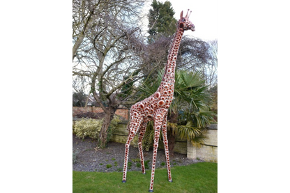 Giraffe Large