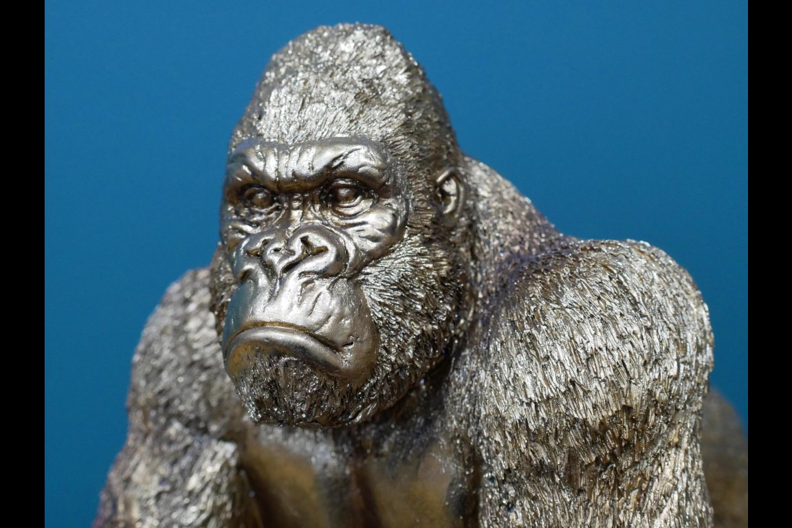 Gorilla