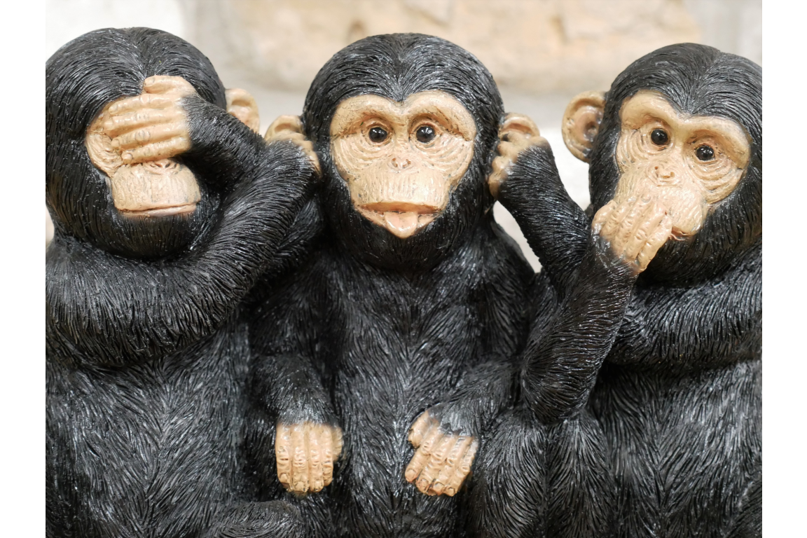 Three Monkeys