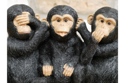 Three Monkeys