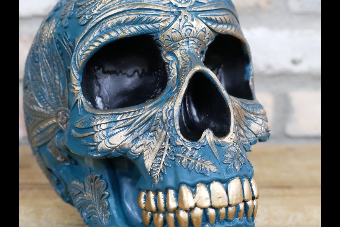 Skull