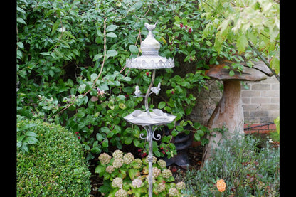 Bird Feeder
