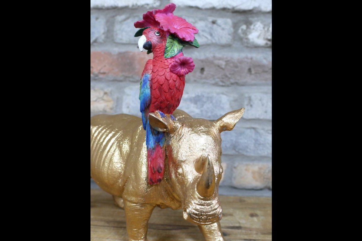 Rhino & Parrot