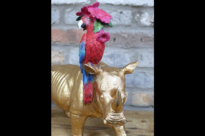 Rhino & Parrot