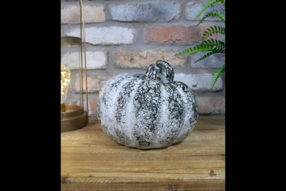 Pumpkin - Medium