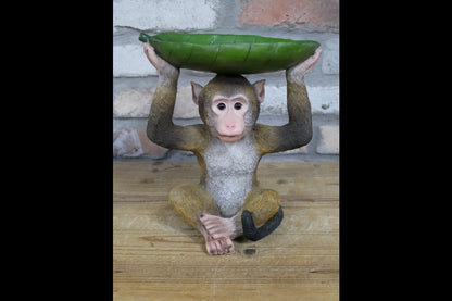 Monkey Leaf Dish
