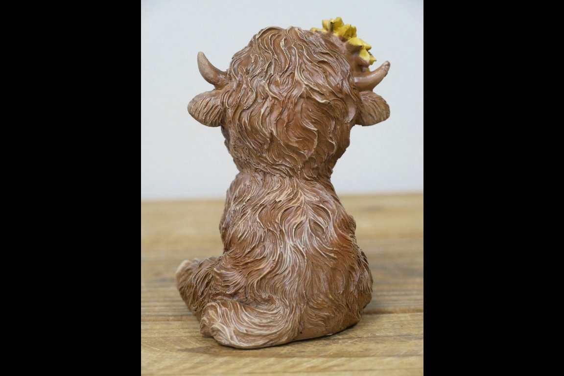 Sitting Highland Cow