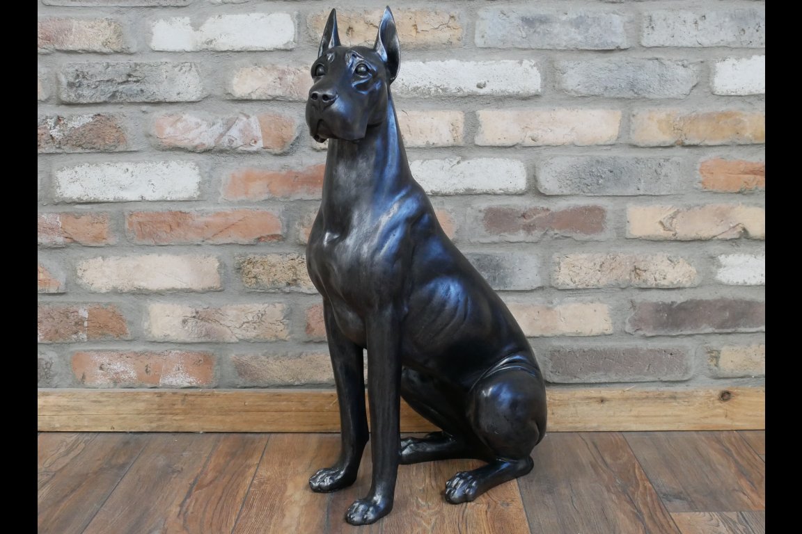 Sitting Great Dane