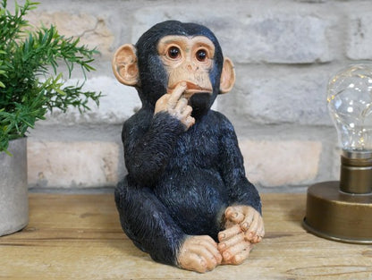 Finger In Mouth Monkey - Small