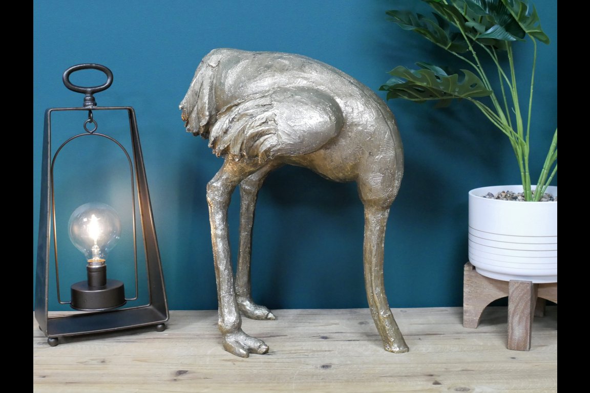 Ostrich (Head In Sand)