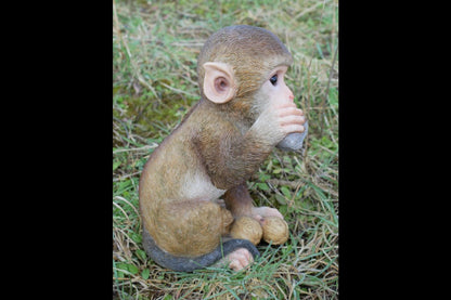 Monkey