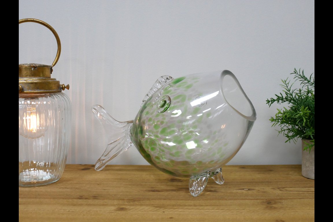 Big Mouth Glass Fish