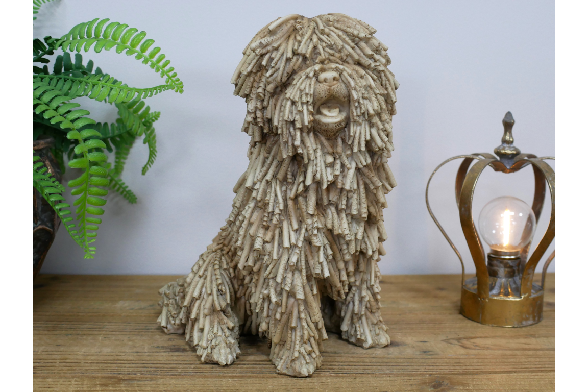 Sitting Shaggy Dog