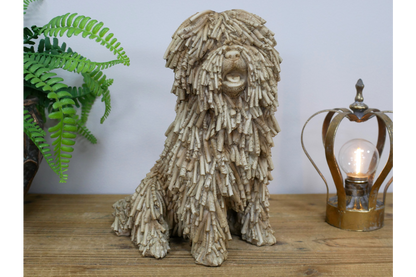 Sitting Shaggy Dog