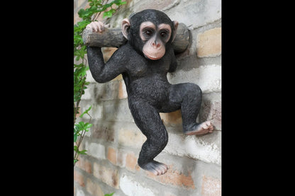 Monkey Hanging On A Branch