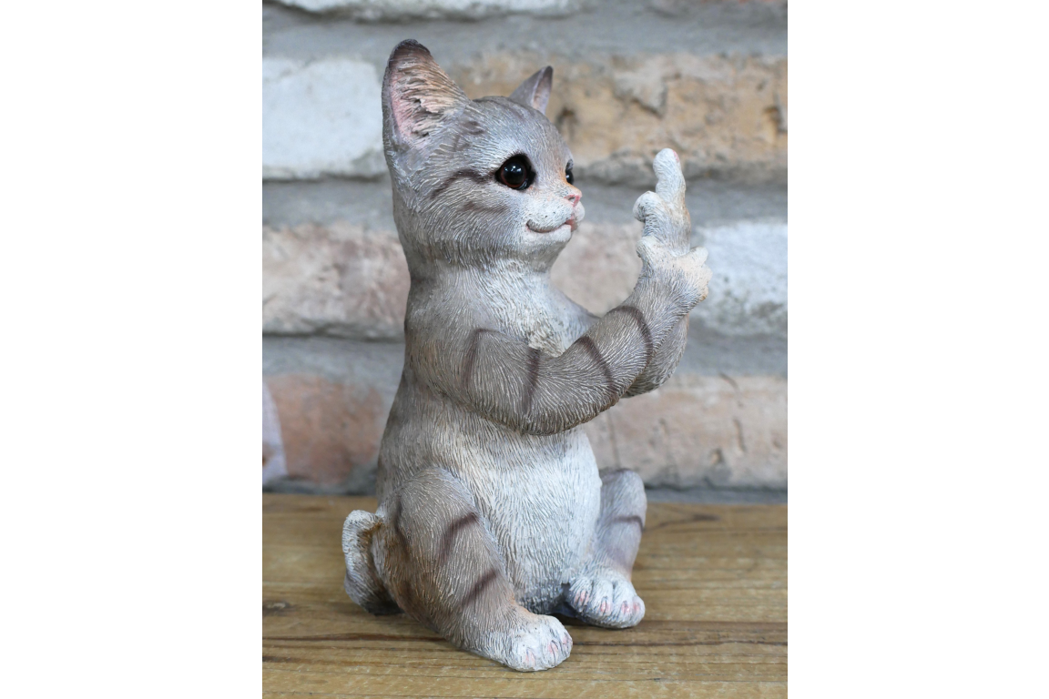 Up Yours Cat