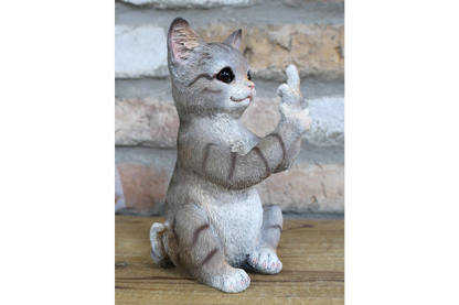 Up Yours Cat
