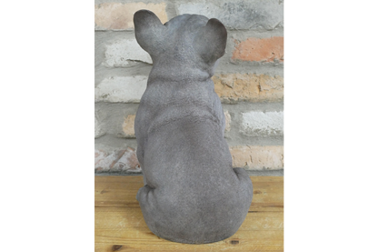 Sitting Dog (Frenchie)