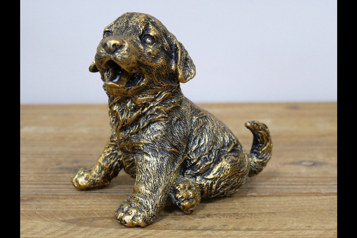 Puppy
