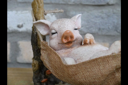 Pig In Hammock