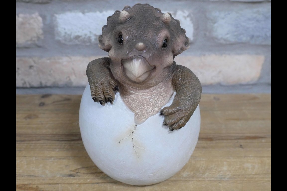 Dinosaur Egg