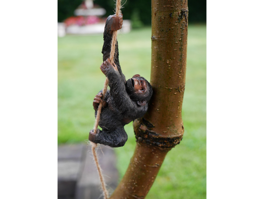 Gorillas & Monkeys On Rope (Set Of 2)