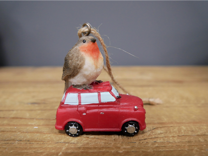 Robin On Car