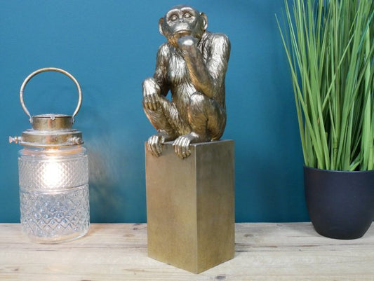 Thinking Monkey