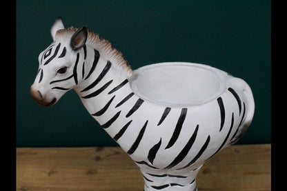 Zebra Planter