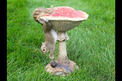 Squirrel On A Mushroom