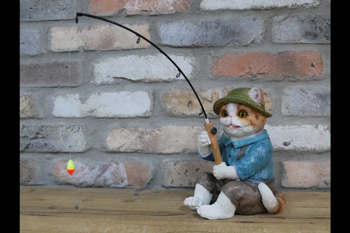 Cat Fishing