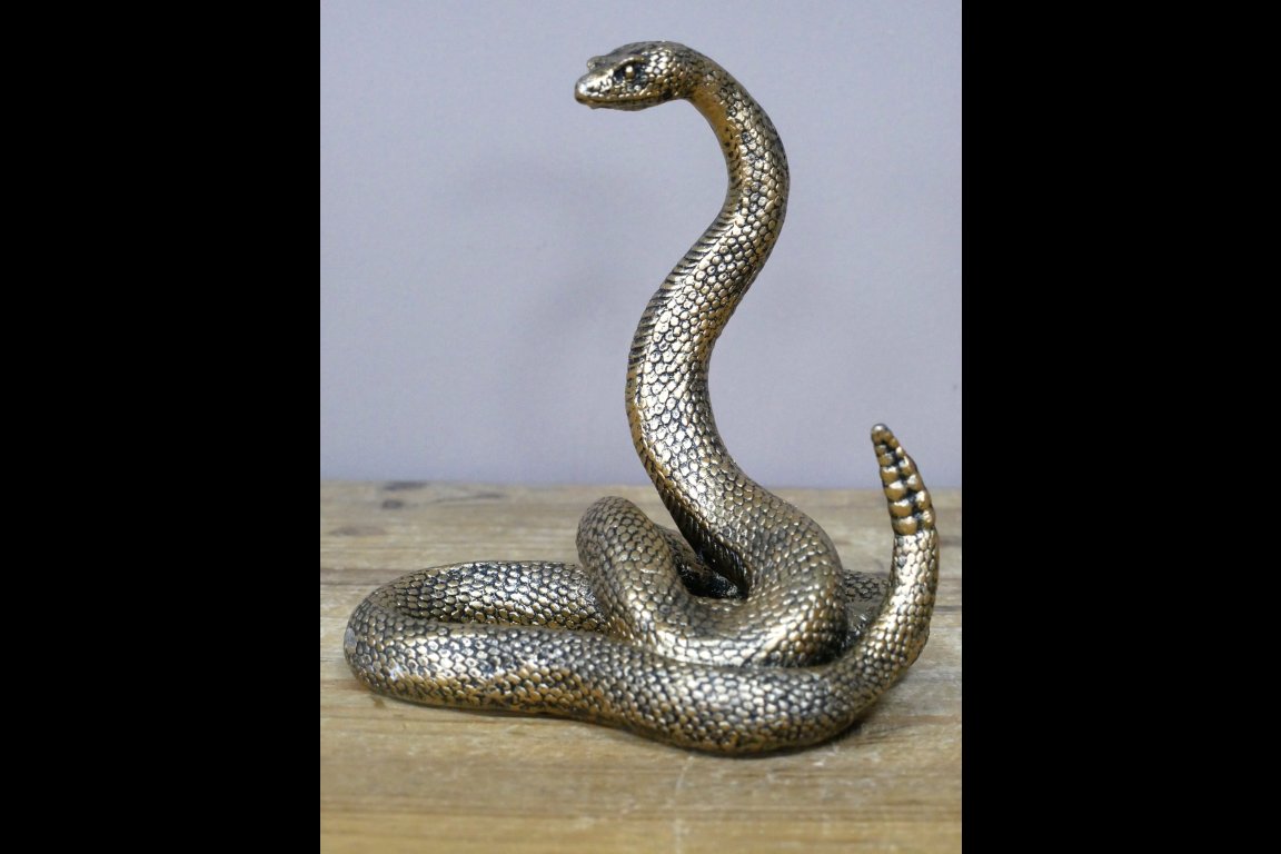 Snake