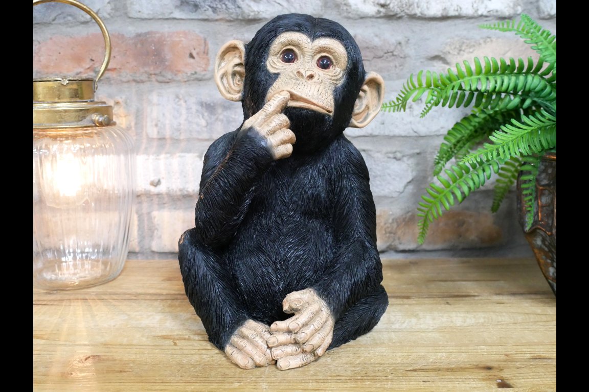 Finger In Mouth Monkey