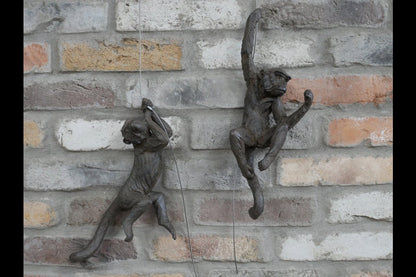 Hanging Monkeys
