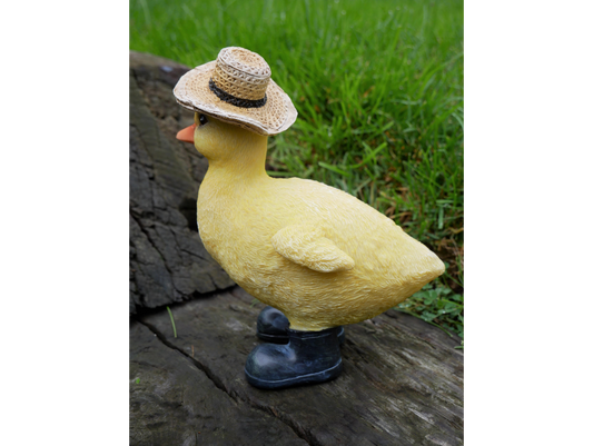 Chick With Hat