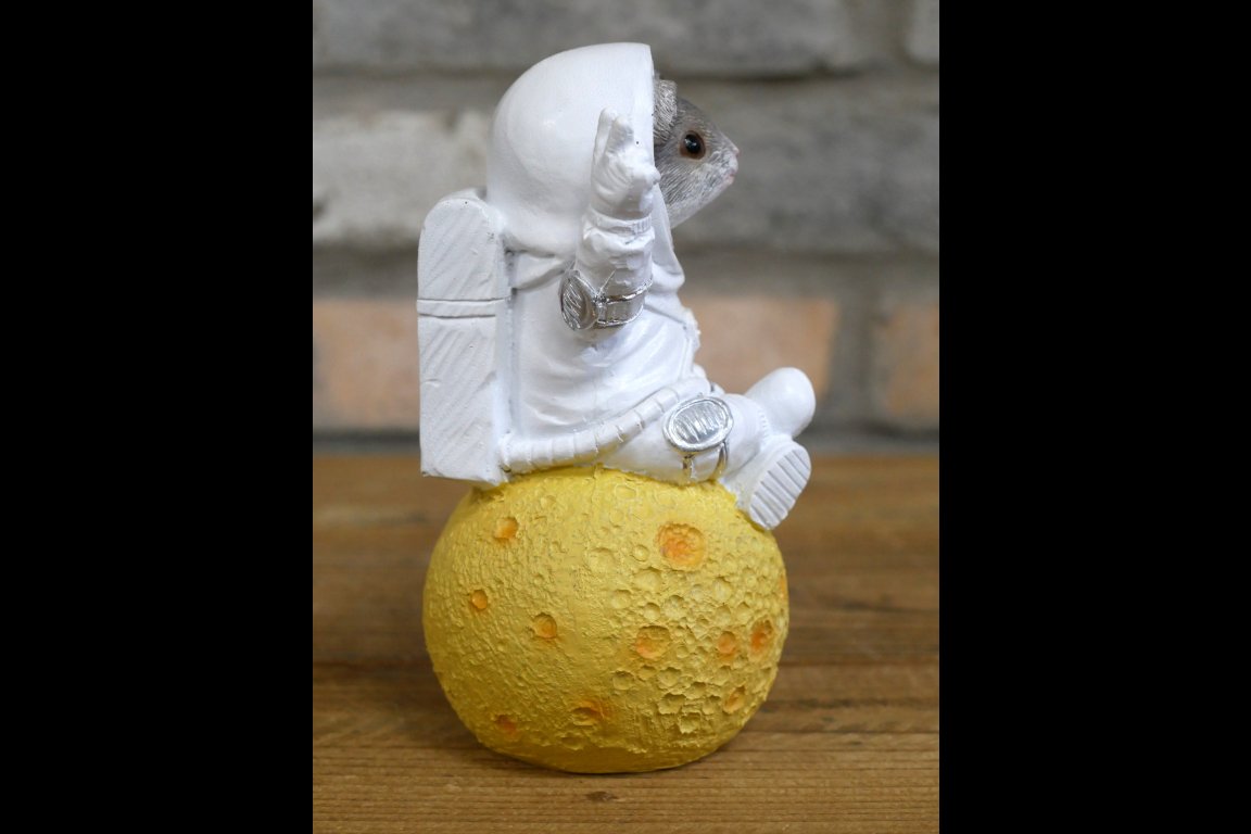 Mouse On Cheese Moon
