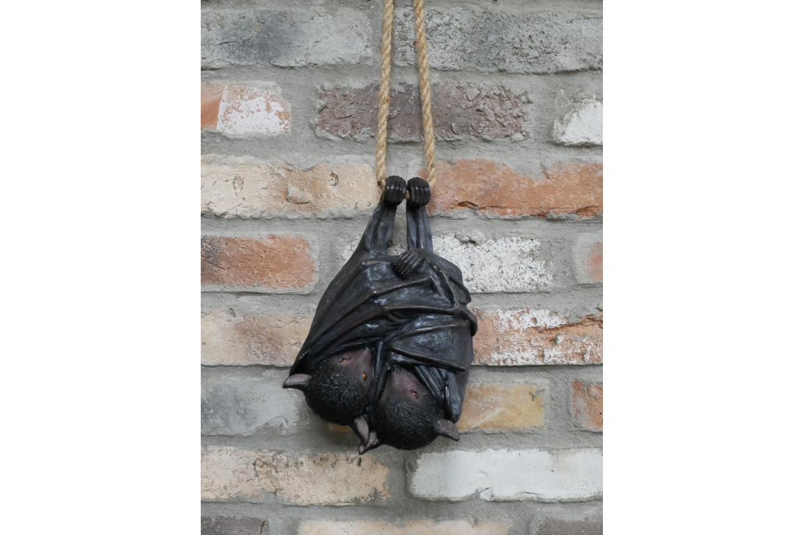 Hanging Bats