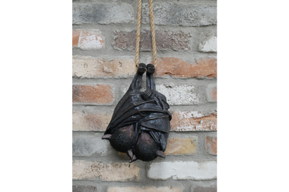 Hanging Bats