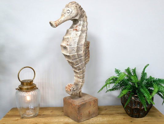 Seahorse