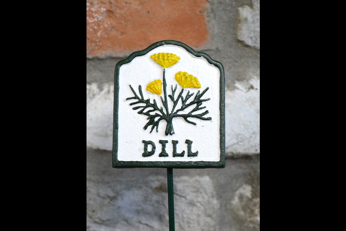 Herb Sign (Dill)