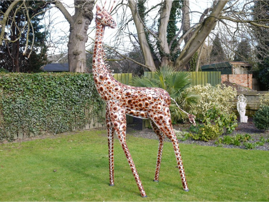 Giraffe Medium