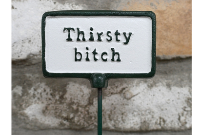 Plant Sign - Thirsty Bitch