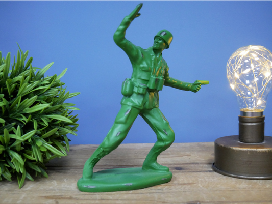 Soldier