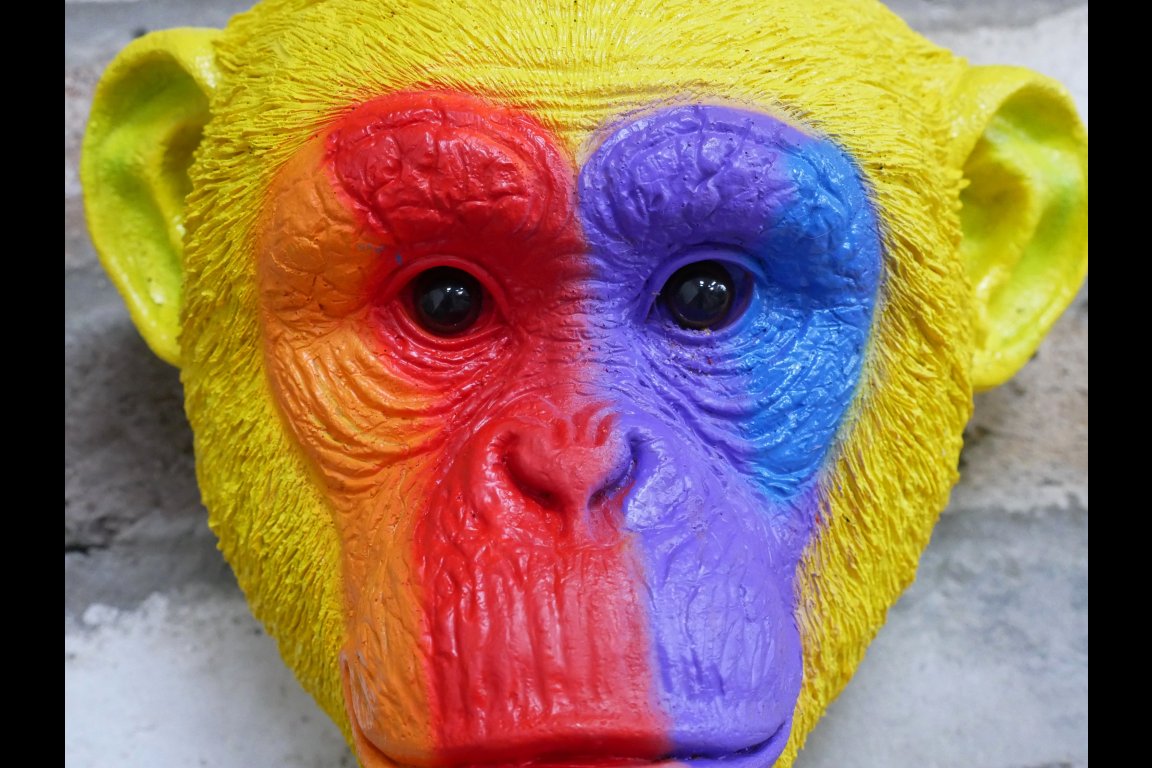 Rainbow Monkey Head