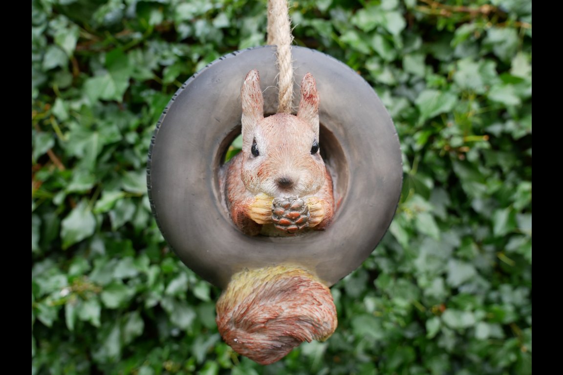 Squirrel In Tyre