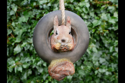 Squirrel In Tyre