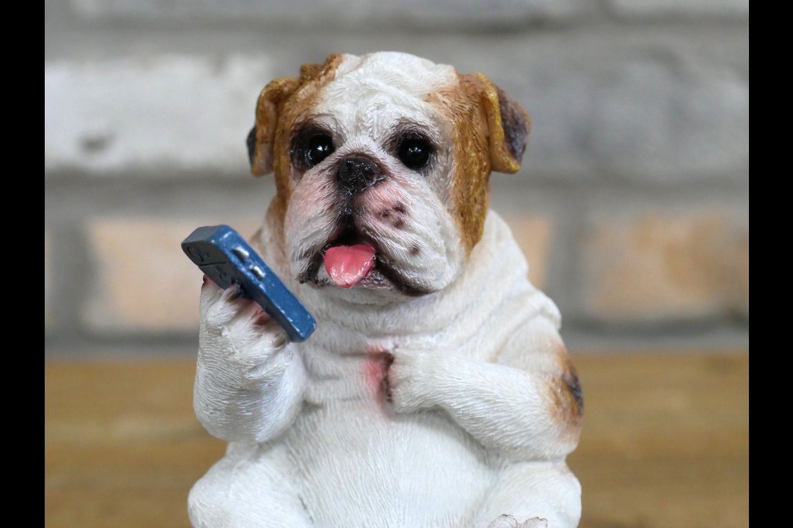 Bulldog On The Loo